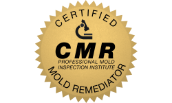 Certified Mold Remediator (CMR)