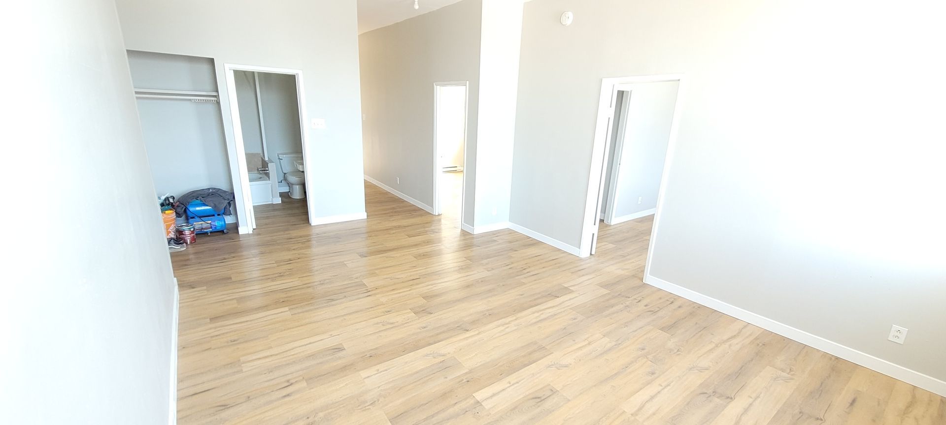 Room with luxury vinyl plank flooring installed by Accuardi Bros
